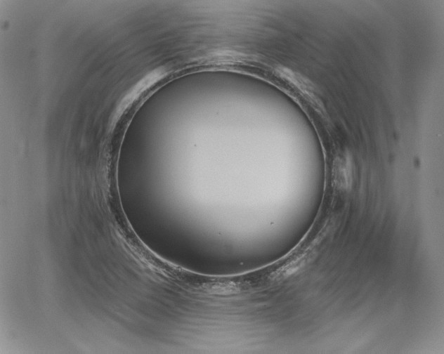 X0000068261410200604211033