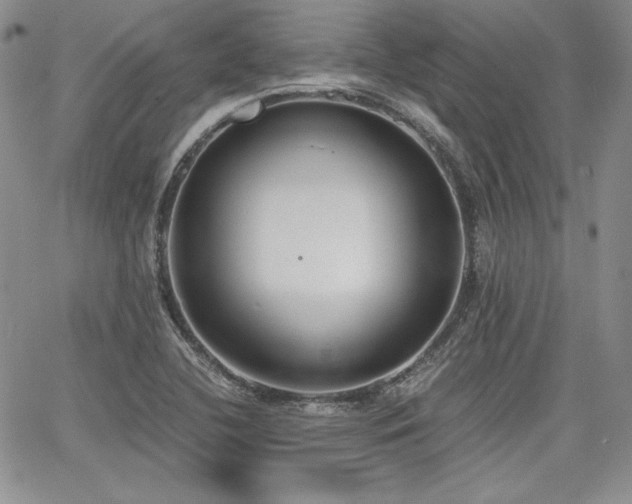 X0000068261412200604211033