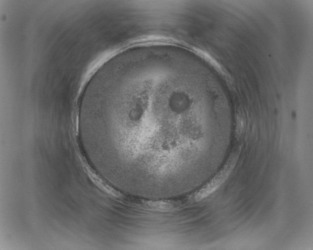 X0000068261413200604211033