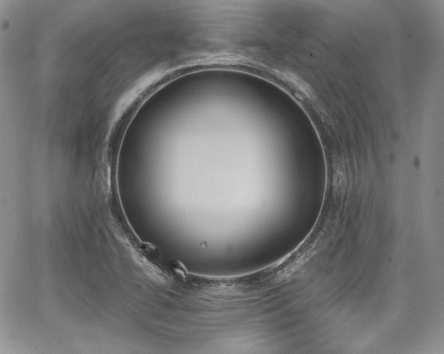 X0000068261414200604211033