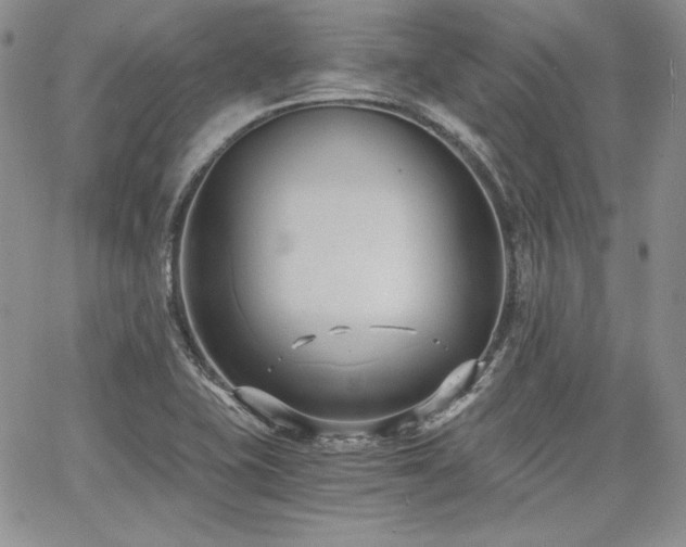 X0000068261415200604211033