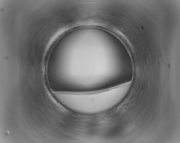 X0000068261416200604211033