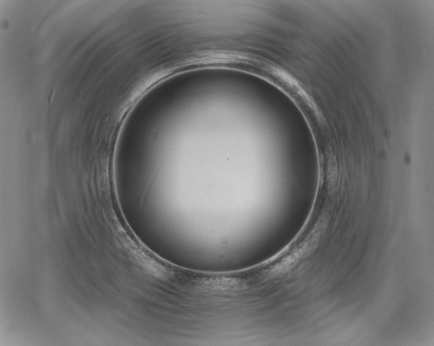 X0000068261417200604211033