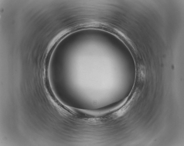 X0000068261418200604211033