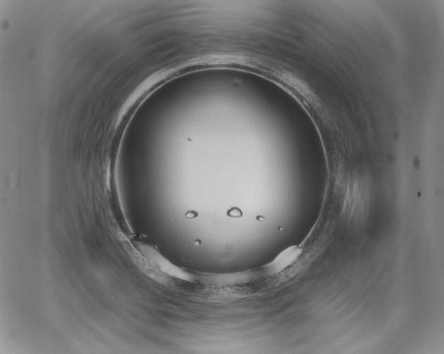 X0000068261420200604211033