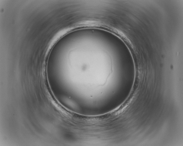 X0000068261421200604211033