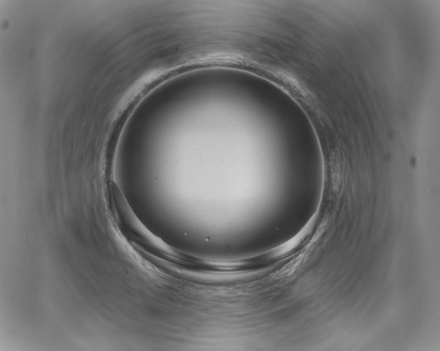 X0000068261422200604211033