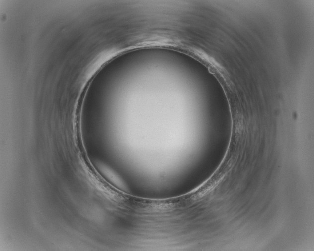 X0000068261423200604211033