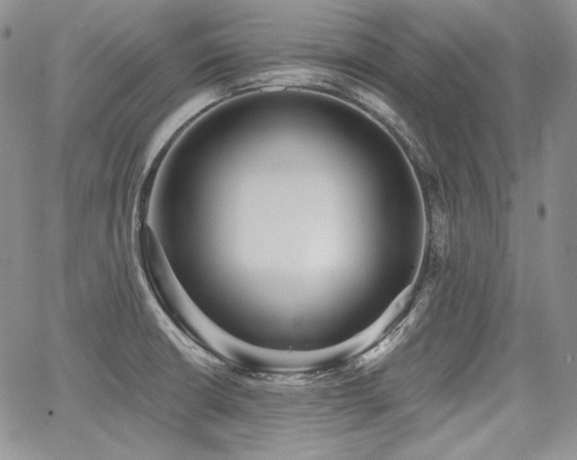 X0000068261426200604211033