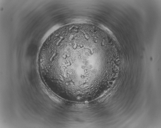 X0000068261427200604211033