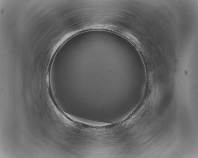 X0000068261428200604211033