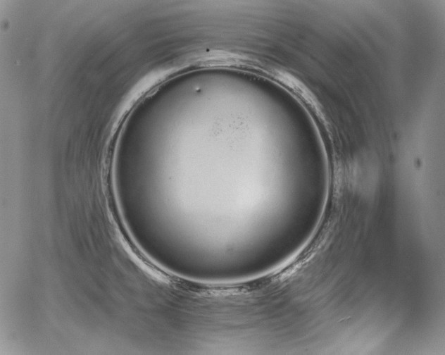 X0000068261429200604211033