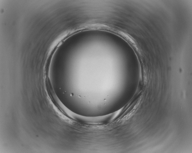 X0000068261430200604211033