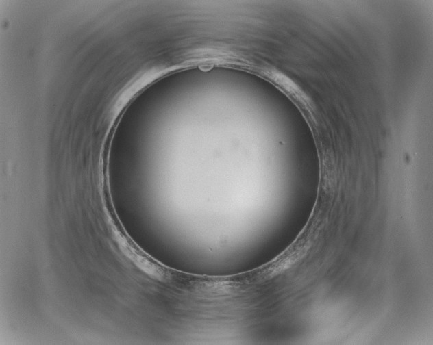 X0000068261431200604211033