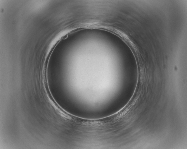 X0000068261432200604211033