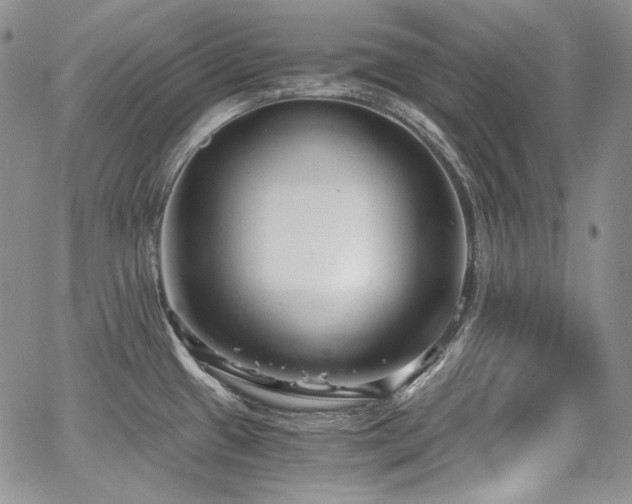 X0000068261433200604211033