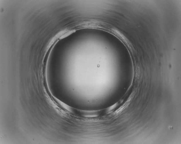 X0000068261434200604211033