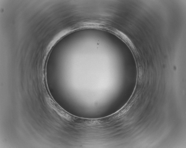 X0000068261435200604211033