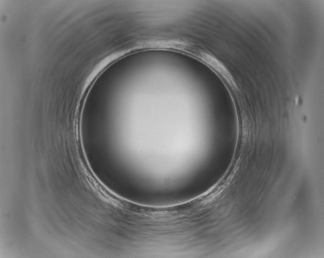 X0000068261436200604211033