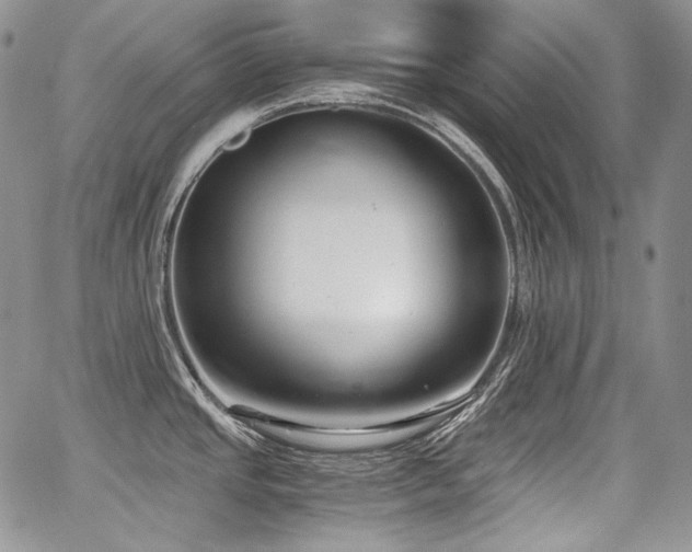 X0000068261437200604211033