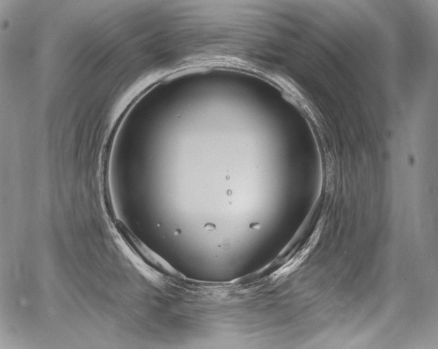 X0000068261438200604211033