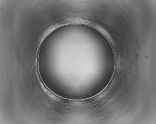 X0000068261439200604211033