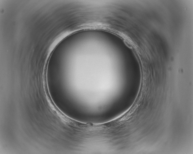 X0000068261440200604211033