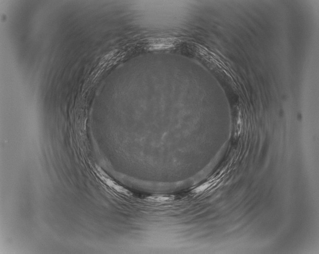 X0000068261441200604211032