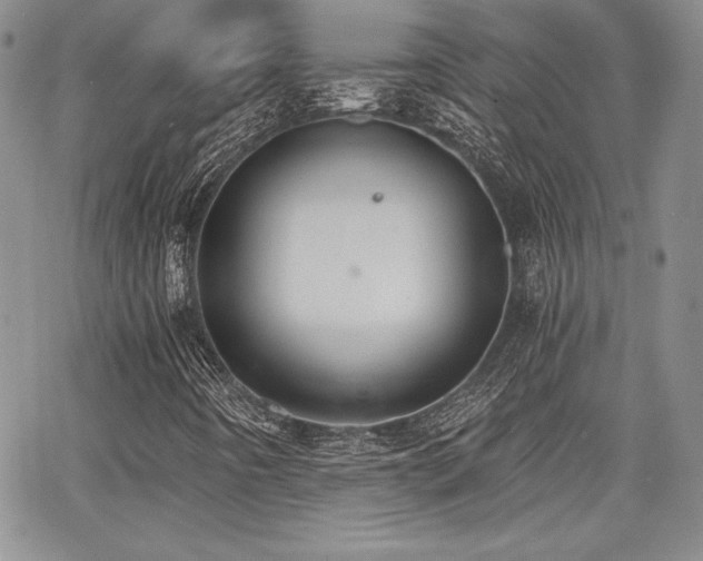 X0000068261442200604211032