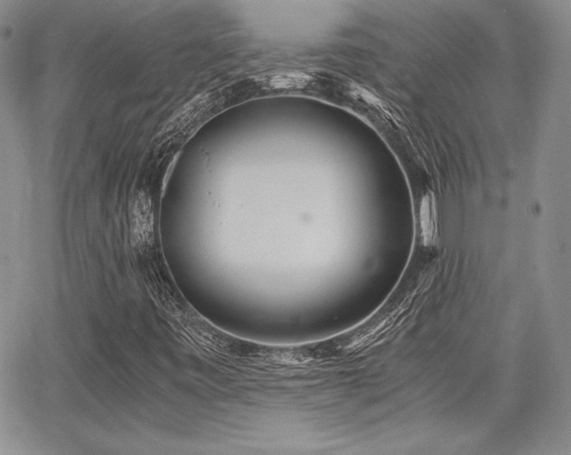 X0000068261443200604211032