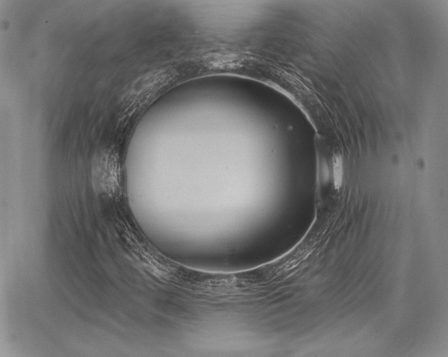 X0000068261444200604211032