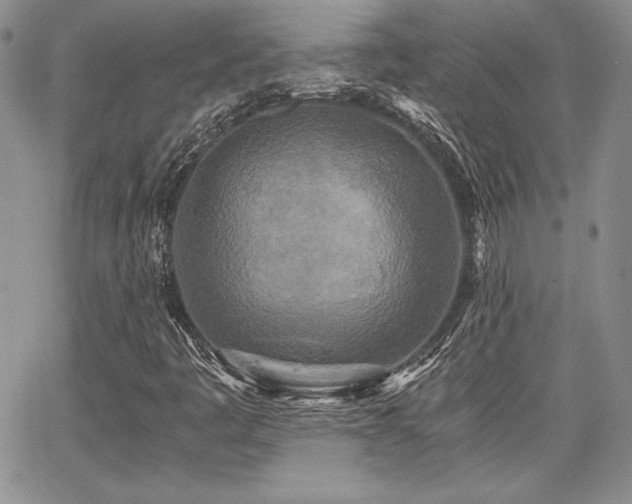 X0000068261445200604211032