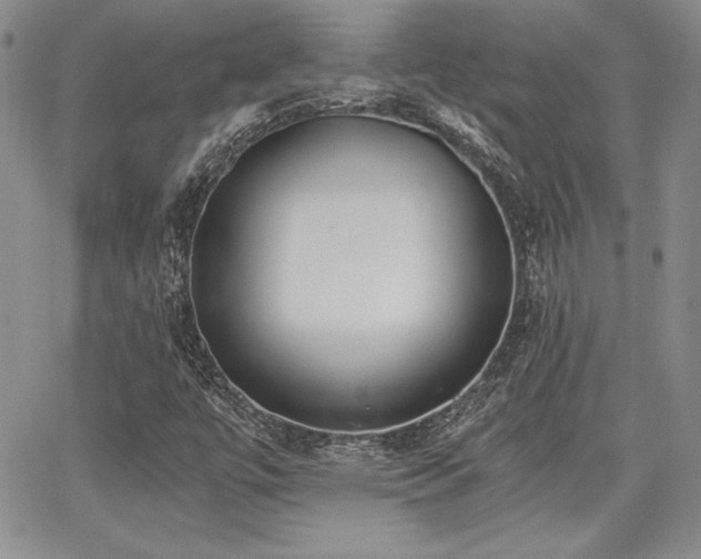 X0000068261447200604211032