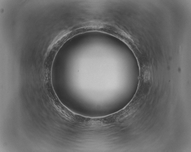 X0000068261448200604211032