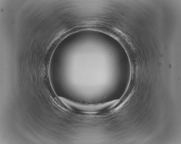 X0000068261449200604211032