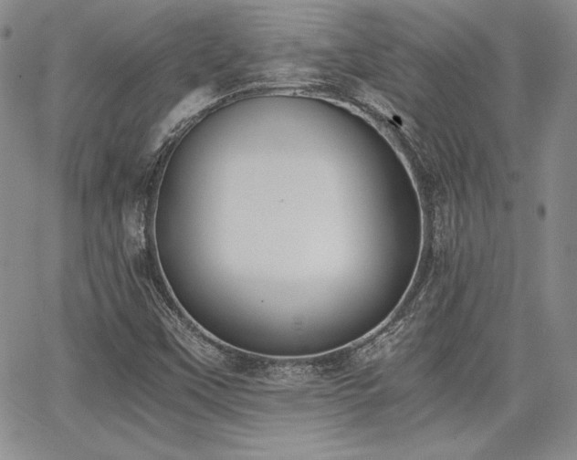 X0000068261451200604211032