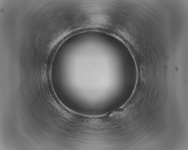 X0000068261452200604211032