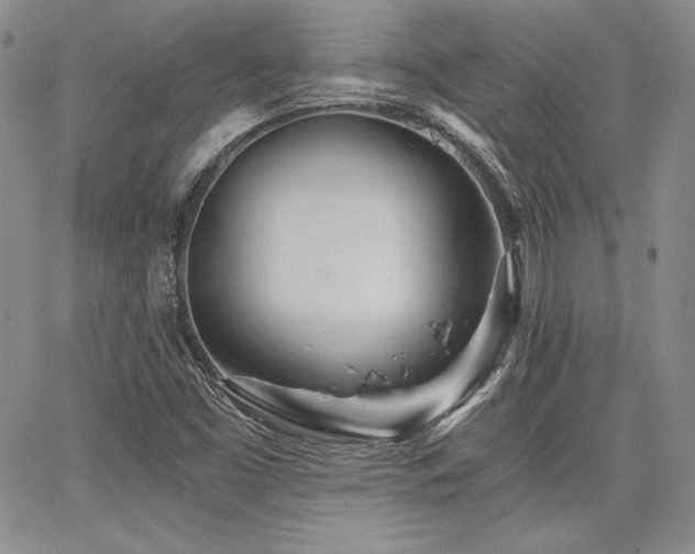 X0000068261453200604211032