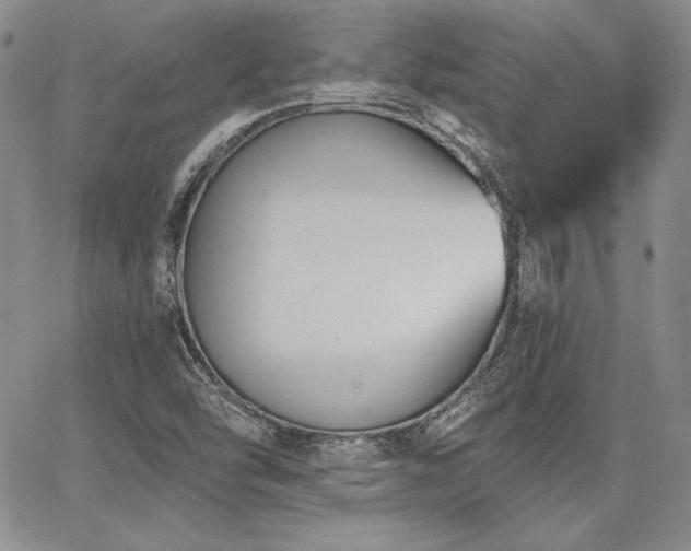 X0000068261454200604211032