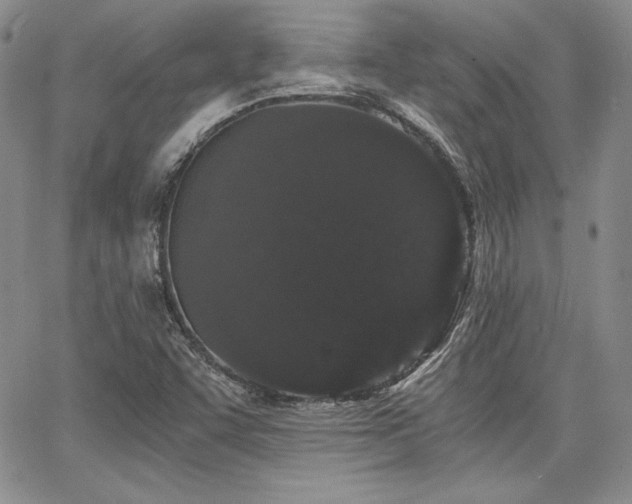 X0000068261455200604211032