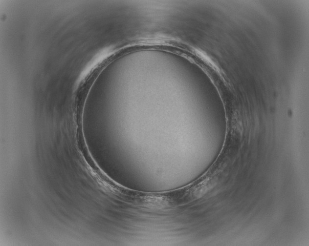 X0000068261456200604211032