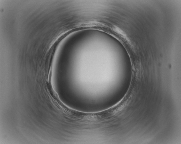 X0000068261457200604211032