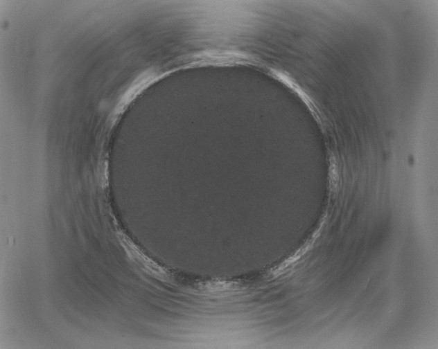 X0000068261459200604211032