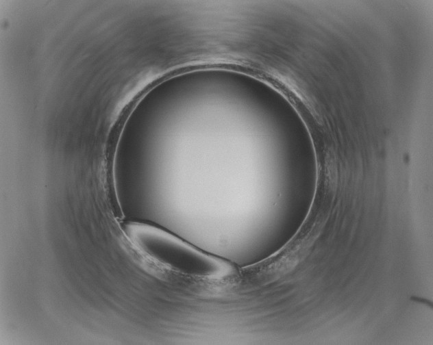 X0000068261460200604211032