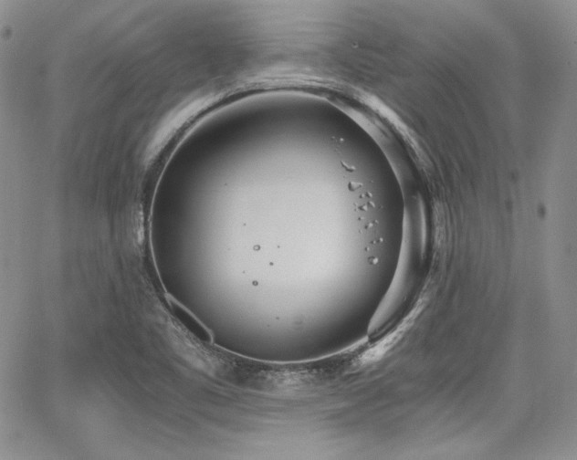 X0000068261461200604211032