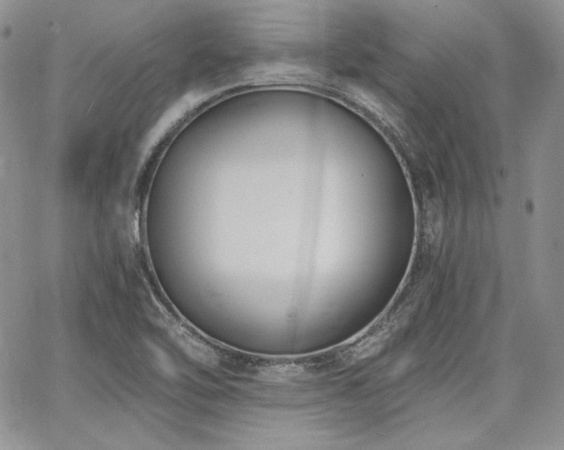 X0000068261462200604211032