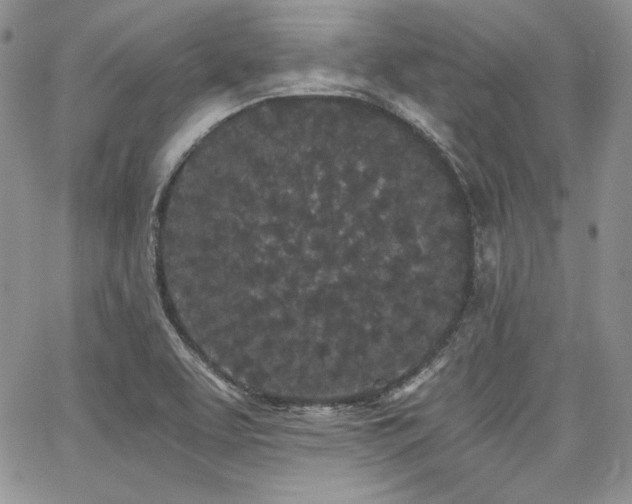 X0000068261463200604211032