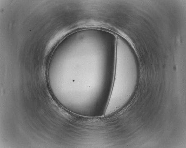 X0000068261464200604211032