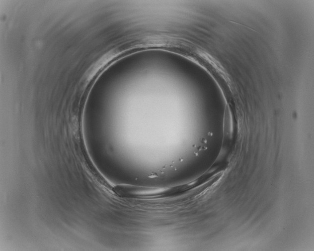 X0000068261465200604211032