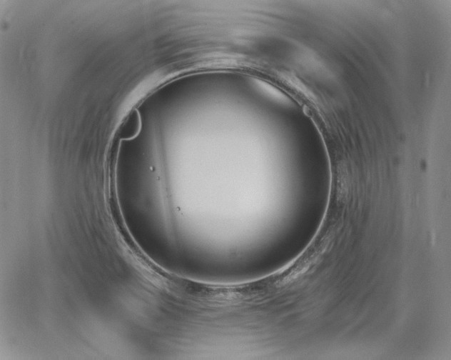 X0000068261467200604211032